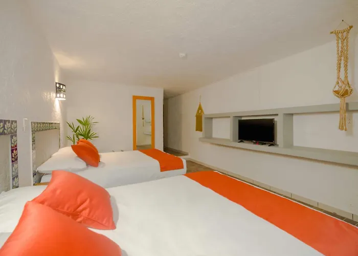Puerto Caracol Hotel Puerto Morelos